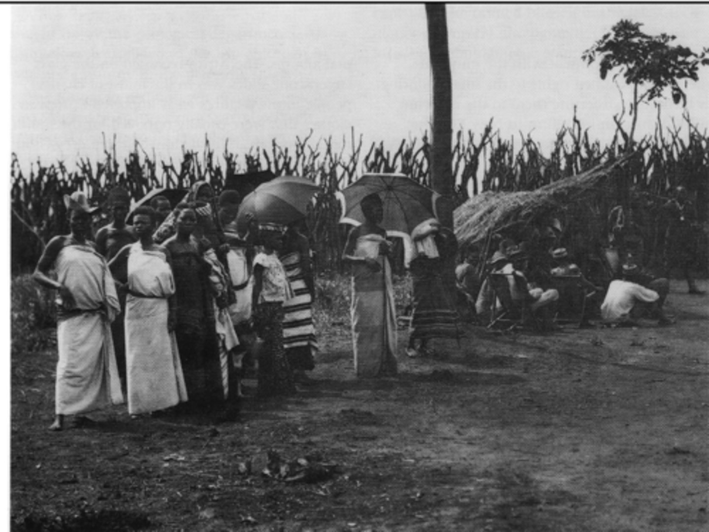 <p>African Women,</p>