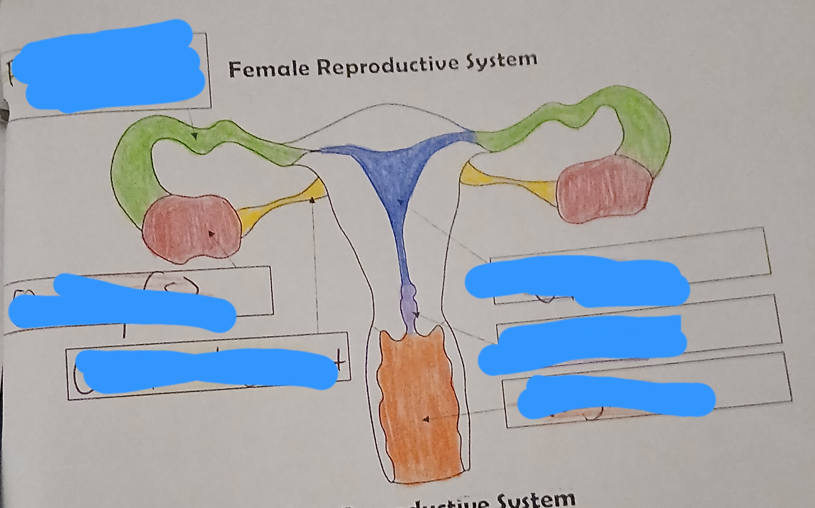 <p>What are the two GREEN parts?</p>