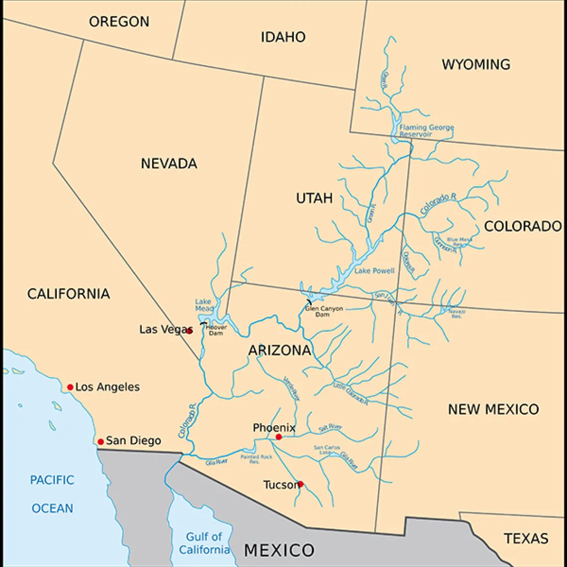 term image