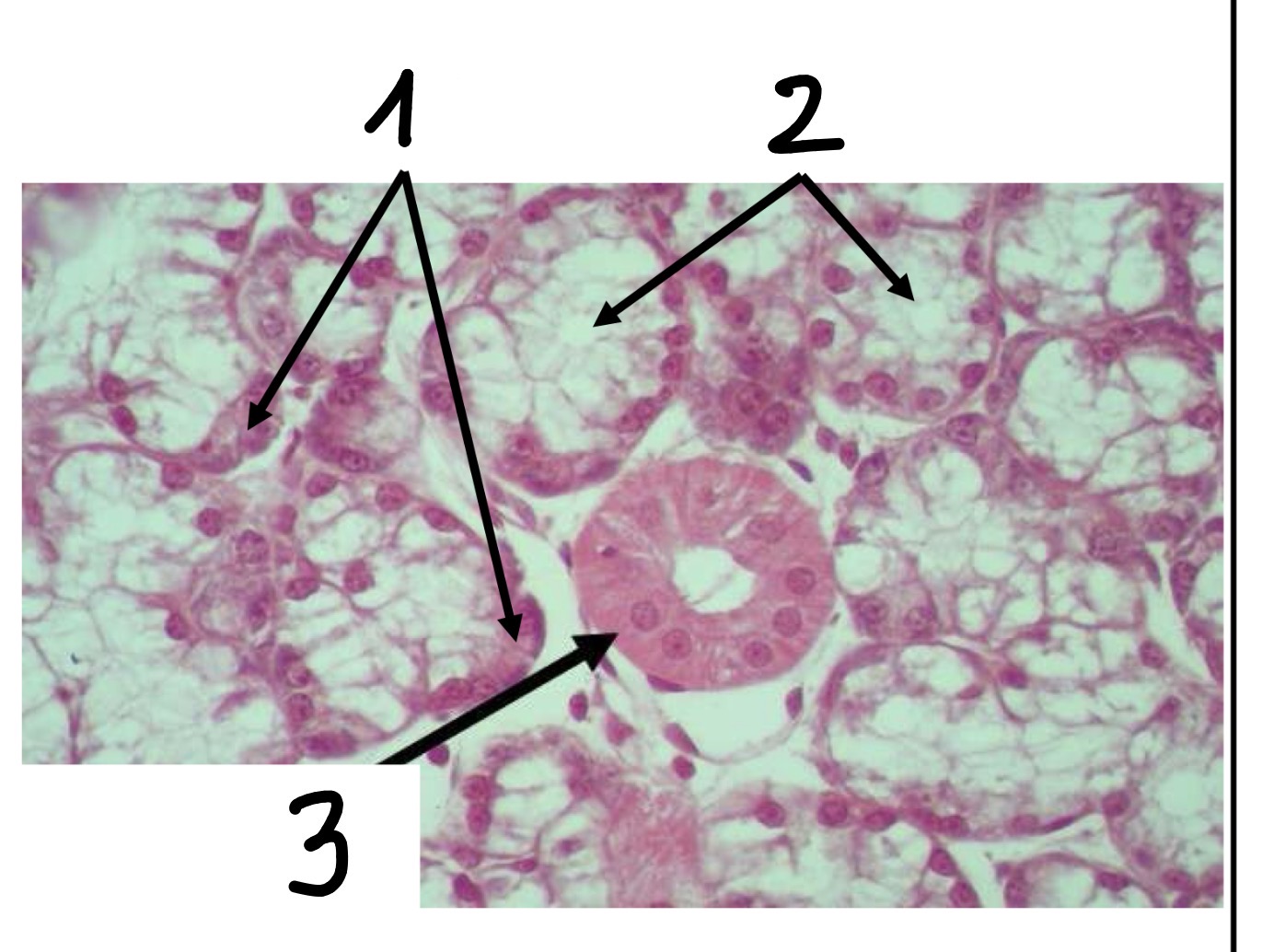 <p>2</p>