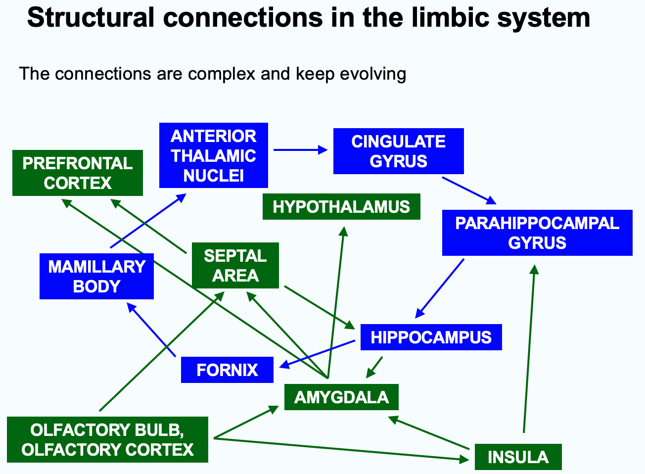 <ol><li><p><strong>Prefrontal Cortex</strong>: Connects to the mammillary body, hypothalamus, and septal area.</p></li><li><p><strong>Anterior Thalamic Nuclei</strong>: Linked to the cingulate gyrus and mammillary body.</p></li><li><p><strong>Cingulate Gyrus</strong>: Interacts with the parahippocampal gyrus and other structures.</p></li><li><p><strong>Parahippocampal Gyrus</strong>: Connects to the hippocampus and cingulate gyrus.</p></li><li><p><strong>Hippocampus</strong>: Linked to the amygdala, fornix, and parahippocampal gyrus.</p></li><li><p><strong>Amygdala</strong>: Communicates with the hypothalamus, septal area, and insula.</p></li><li><p><strong>Fornix</strong>: Serves as a pathway connecting the hippocampus to the mammillary body and septal area.</p></li><li><p><strong>Hypothalamus</strong>: Interacts with the septal area, amygdala, and prefrontal cortex.</p></li><li><p><strong>Olfactory Cortex</strong>: Sends signals to the amygdala and insula.</p></li><li><p><strong>Insula</strong>: Receives input from the amygdala and connects to the parahippocampal gyrus.</p></li></ol><p></p>