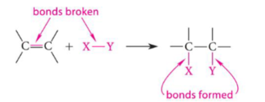 <ul><li><p>carbon-carbon double bond (pi bond) of alkene is broken and X-Y bond of reagent is broken</p></li><li><p>new C-X and C-Y bonds are formed</p></li><li><p>pi electrons and lone pair electrons are nucleophile (Lewis base)</p><ul><li><p>nucleophiles attack partial positive or formally positively charged species (H+)</p></li></ul></li><li><p>in solvent like Br2 (not H2O)</p></li></ul><p></p>