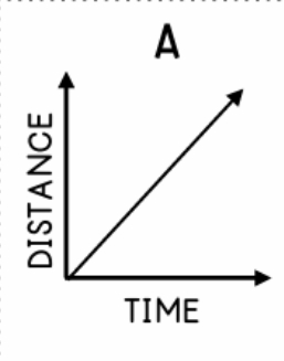 <p>Describe this graph</p>