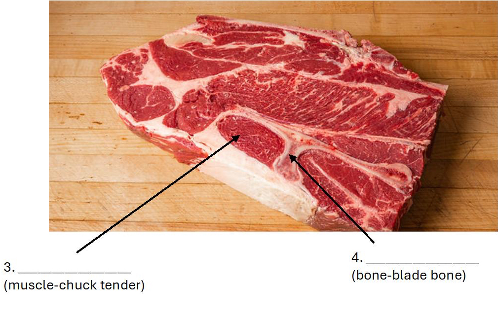 <p>What type of muscle is 3?</p>