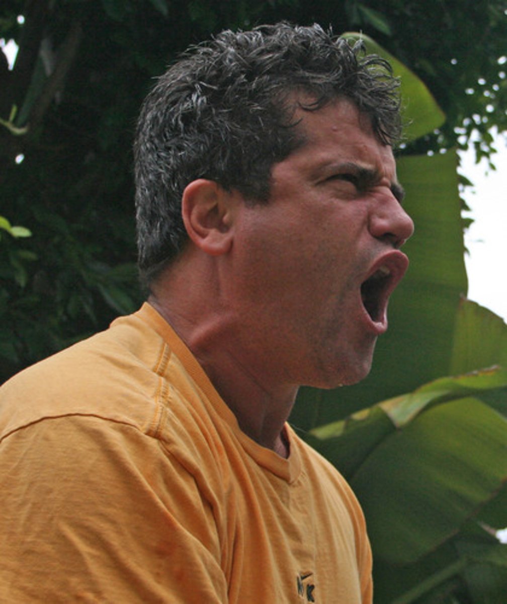 <p>emit a deep loud roar, typically in pain or anger</p>