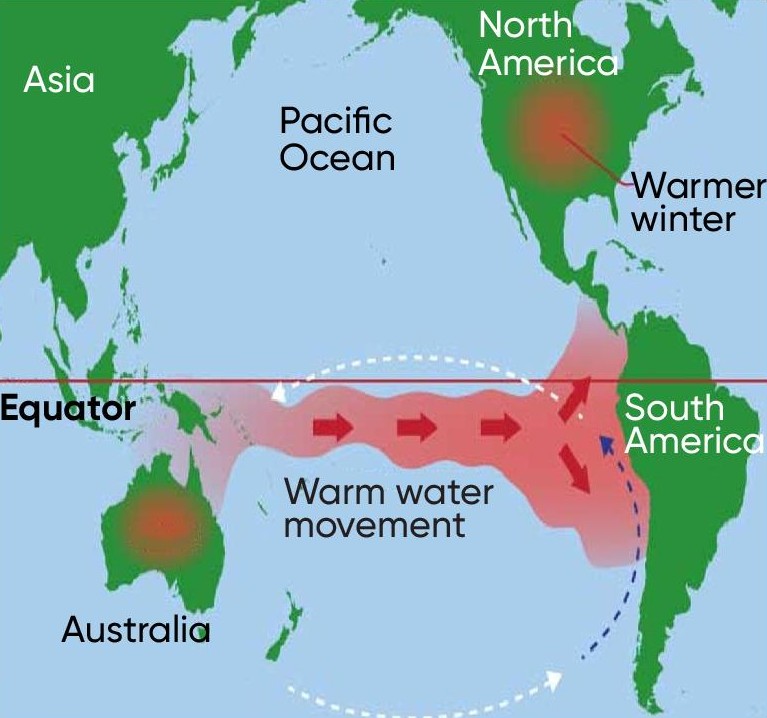 <p>trade winds weaken and reverse W → E, suppressed upwelling off South Amer coast, damaged fisheries</p>