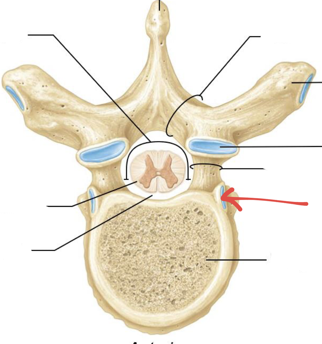<p>what is this?</p>