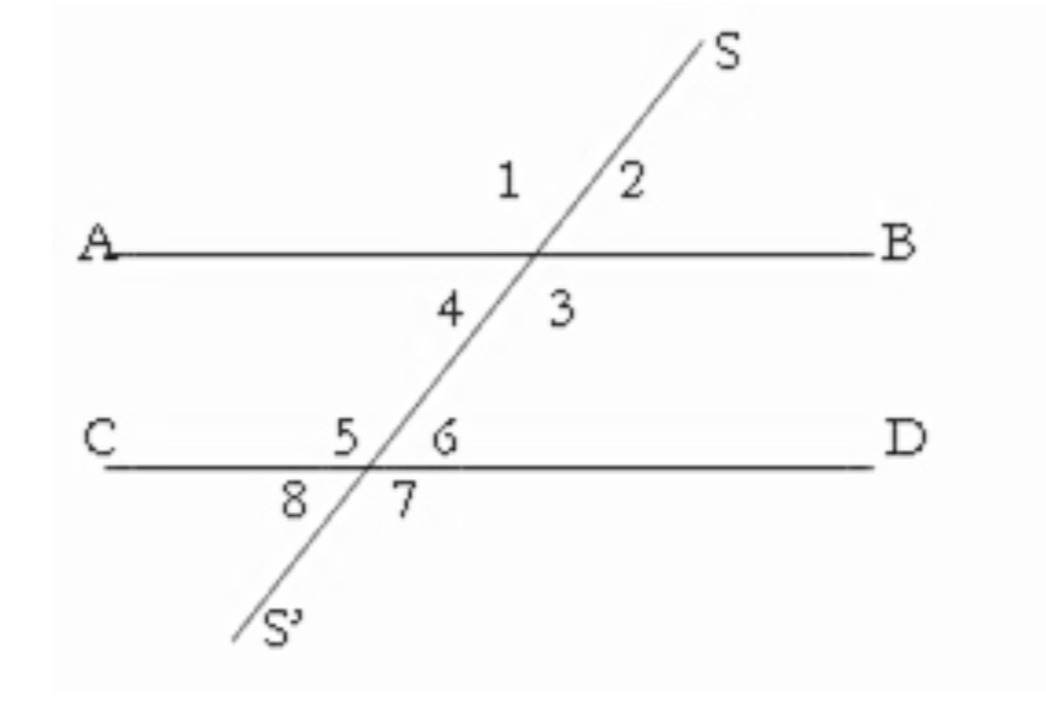 <p>Ángulos alternos externos</p>
