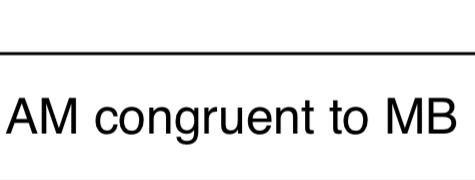 <p>Definition of Midpoint</p>