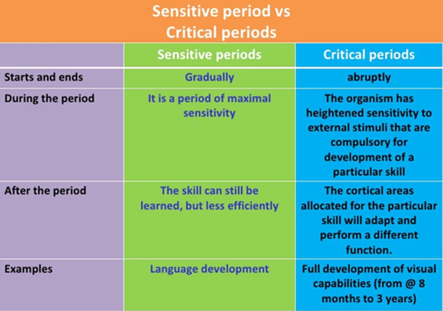 <p>times in the developmental sequence during which a person must experience certain kinds of social or sensory experiences for the normal development of a particular behavior</p>