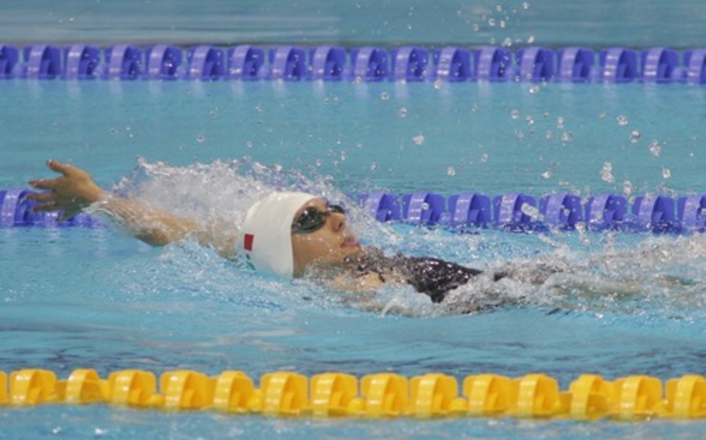 <p>swimming (sport)</p>