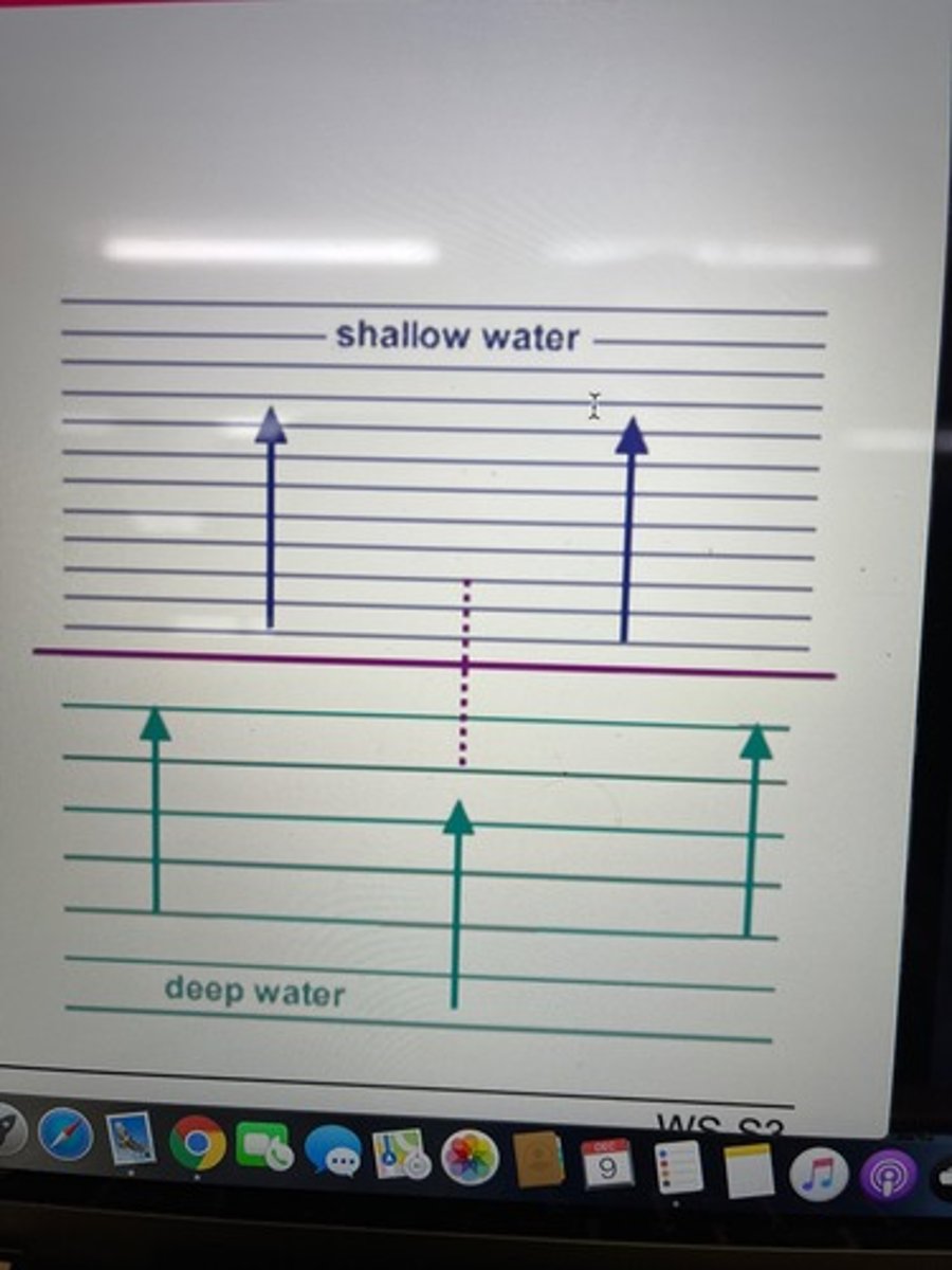 <p>when waves pass a boundary and move into a region of the medium in which the wave speed is different, their wavelength will change accordingly. (the frequency doe NOT change)</p>
