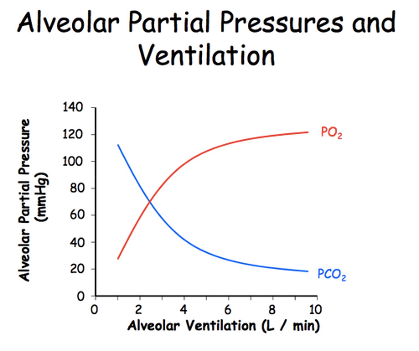 <p>-In atmosphere, P_O2 = 160 mm Hg, P_CO2 = 0.25 mm Hg<br>-In alveoli, relatively constant during quiet breathing; P_O2 = 100 mm Hg, P_CO2 = 40 mm Hg<br>-Match ventilation (breathing) with perfusion (rate of blood flow through pulmonary capillaries)</p>