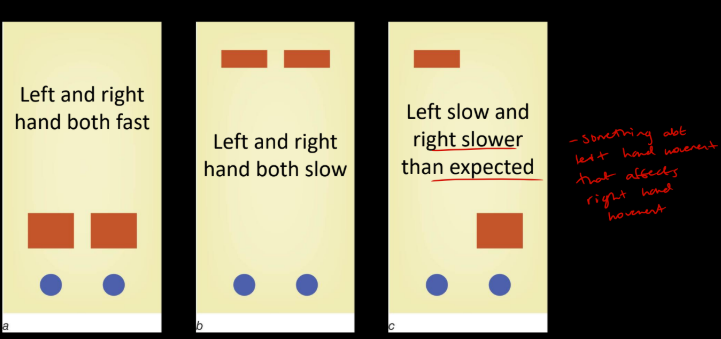 <ul><li><p>Movement of right limb affected by task demands of the left limb</p></li><li><p>Suggests the two limbs are coordinated, perhaps by a joint motor command / program</p></li></ul><p></p>