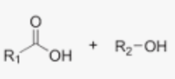 <p>carbo. acid + acid</p>