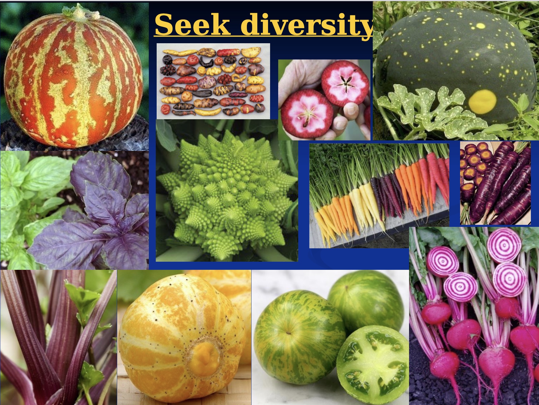 <p>seek diversity…</p>
