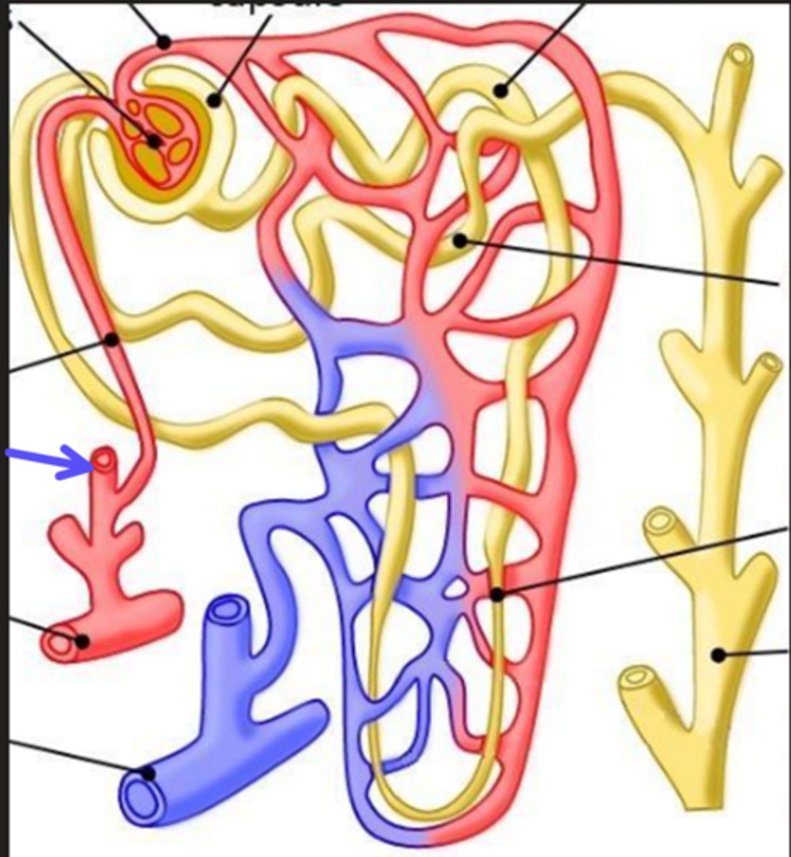 <p>What is the arrow pointing at?</p>