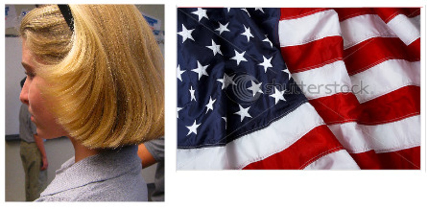 <p>Zij is Amerikaans</p>