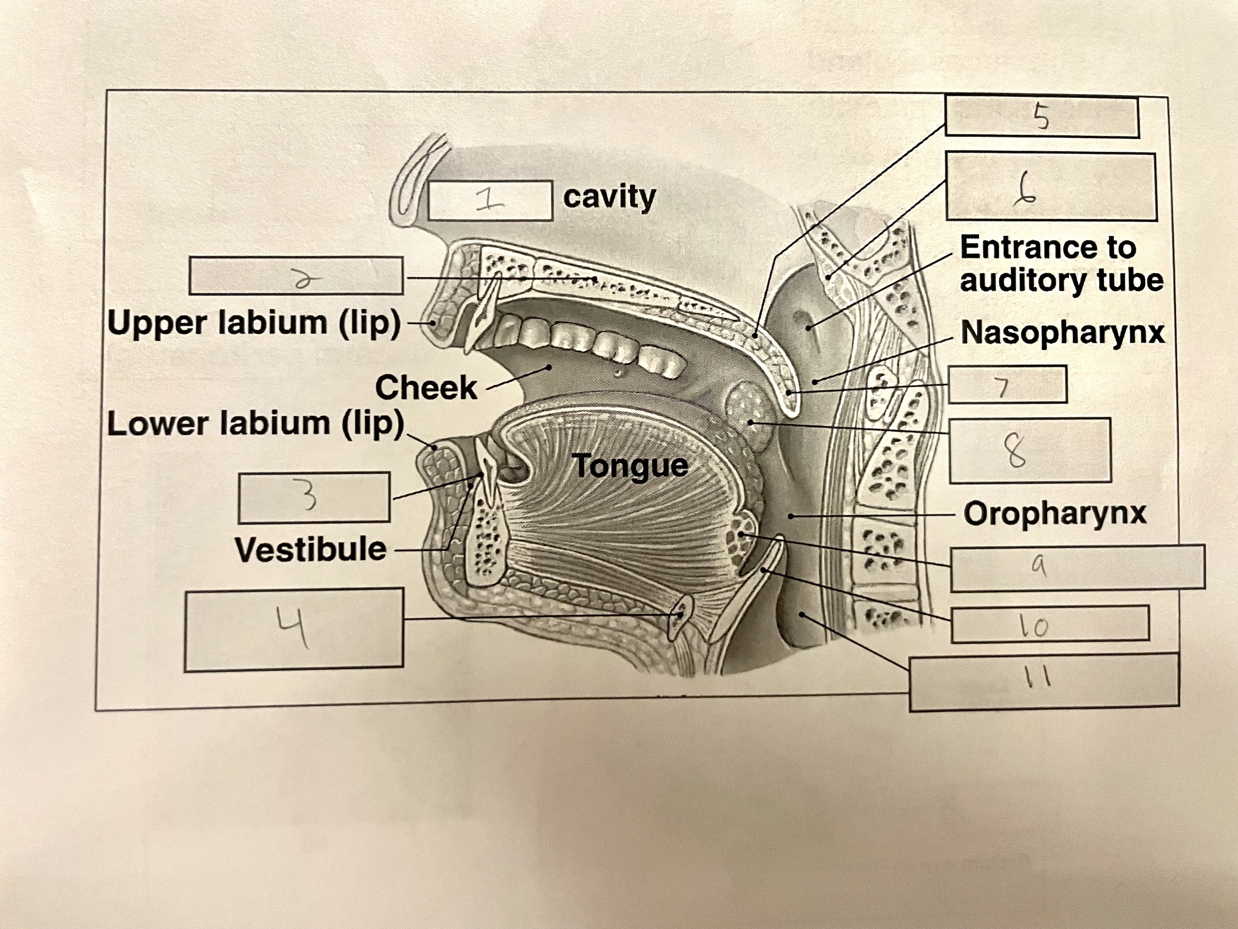 <p>What is number 10</p>