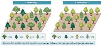 The number of different species in the community. Diversity increases the productivity and stability of a community.