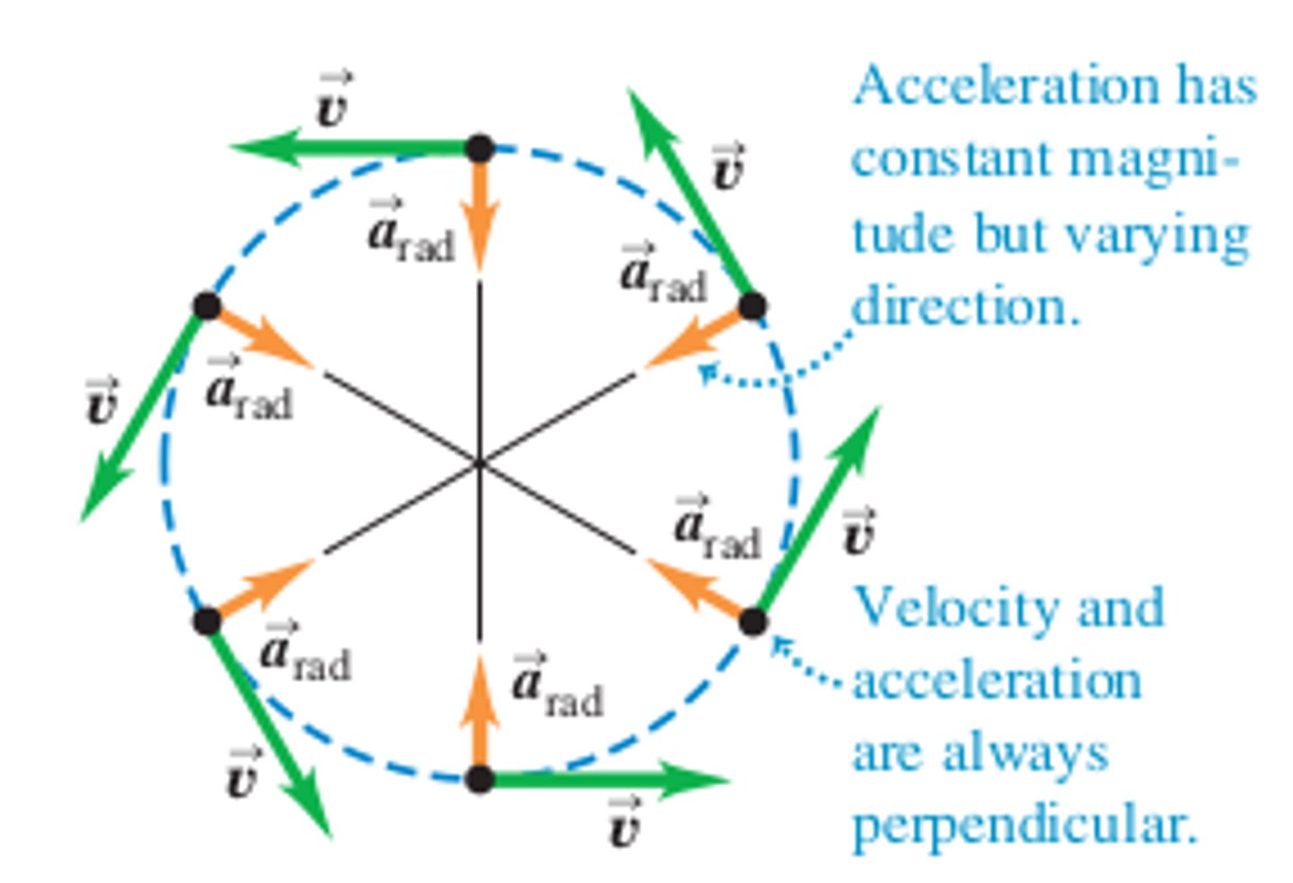 <p>occurs when forces cause an object to move in a circular pathway.</p>