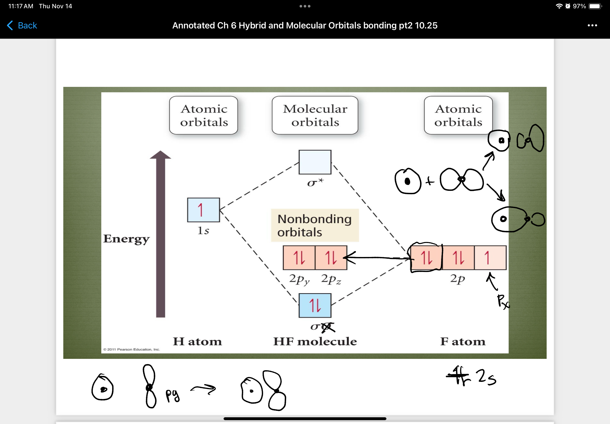 knowt flashcard image