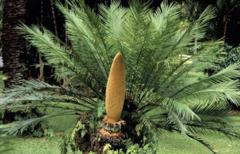<p>what is this?</p>