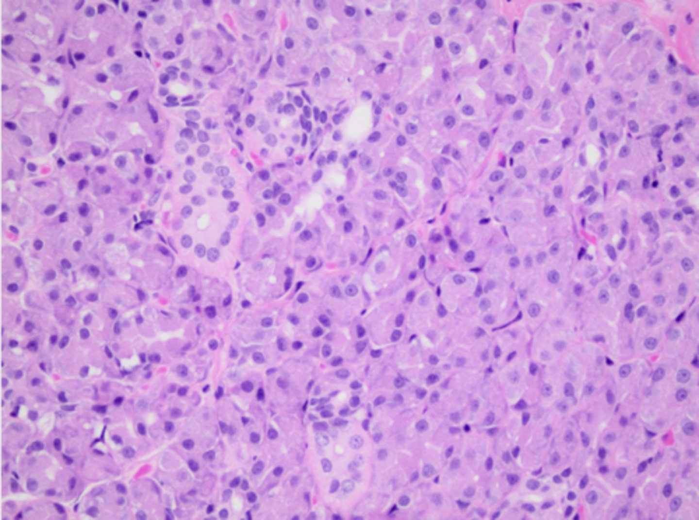 <p>What structure is this tissue part of?</p>