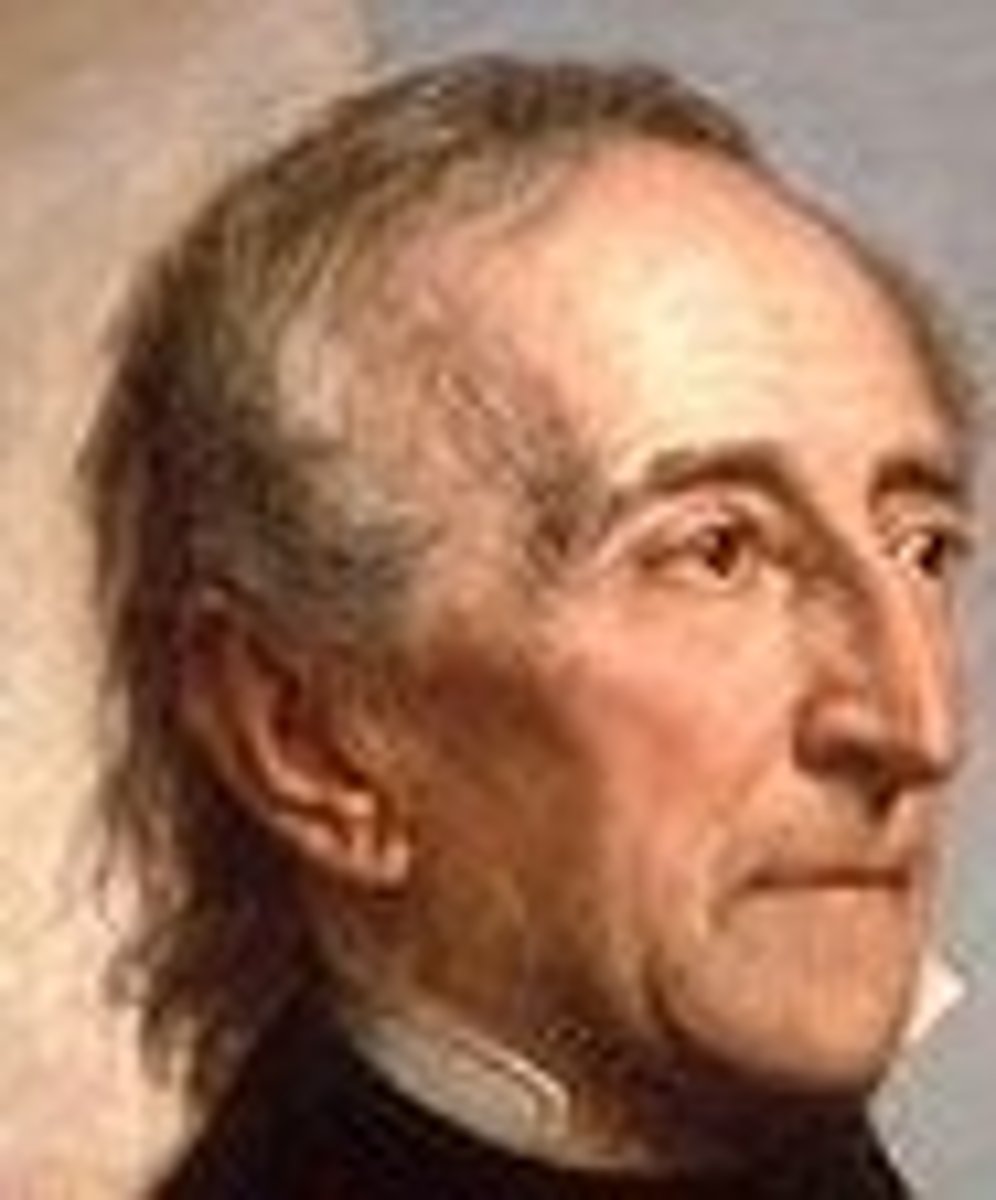 <p>Whig/Independent</p><p>1st to succeed a dead president. Most vetoes and first to have a veto overturned (had enemies in Congress). 1st President to be threatened with impeachment. Annexes TX</p>