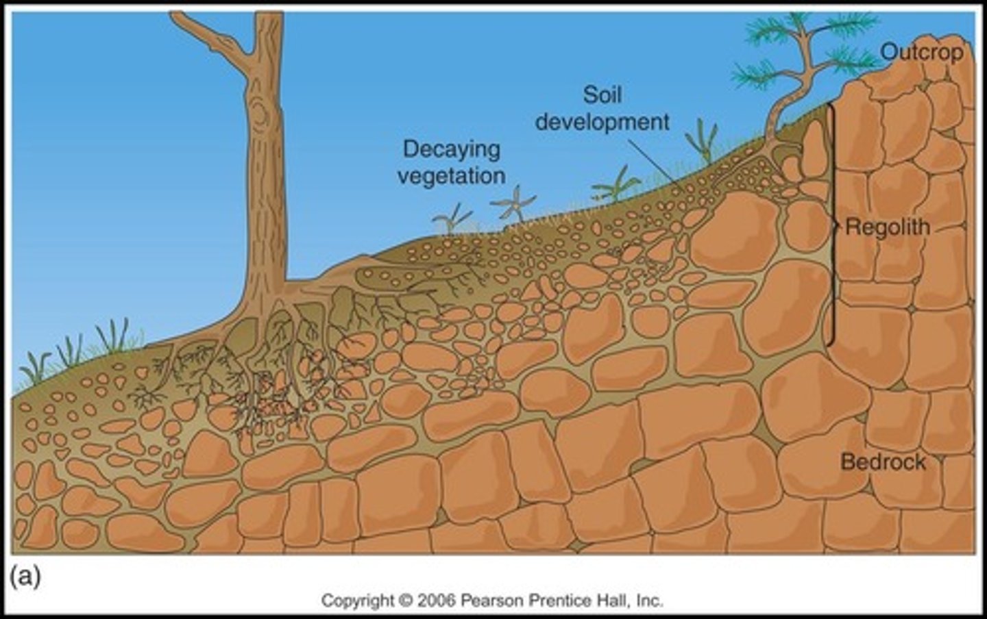 <p>Loose, broken-up bedrock material that helps make soil and move material.</p>