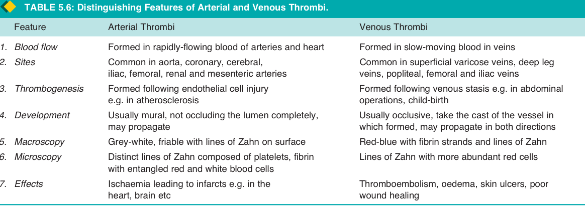 <p>① blood flow ② sites ③ morphology ④ effect ⑤ thrombogeneis</p>