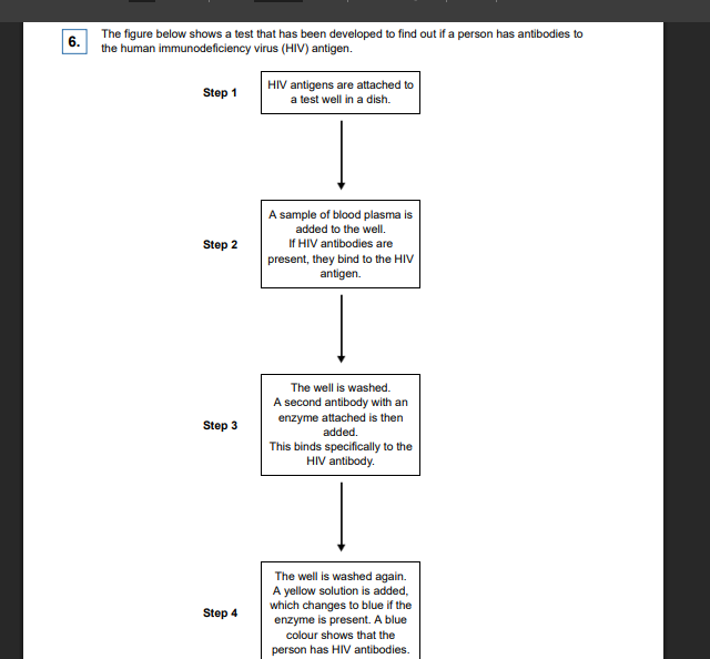 <p>This test only detects the presence of HIV antibodies. Give two reasons why it cannot be used to find out if a person has AIDS.</p>