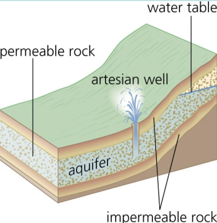 <p>a well drilled into a confined aquifer with hydraulic pressure for the water to flow to the surface without pumping, the pressure surface is above the land surface</p>