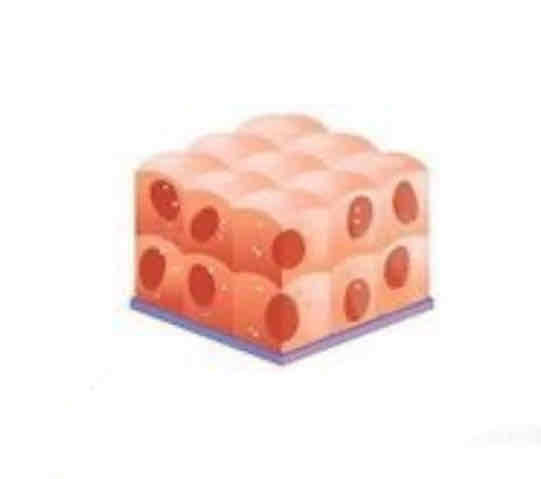 <p>Layered and found in the kidneys</p>