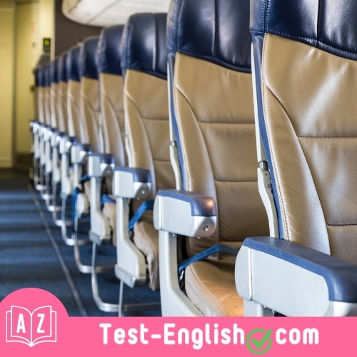 <p>Some passengers prefer the _____ for easy access to the restroom and stretching their legs. (2 words)</p>