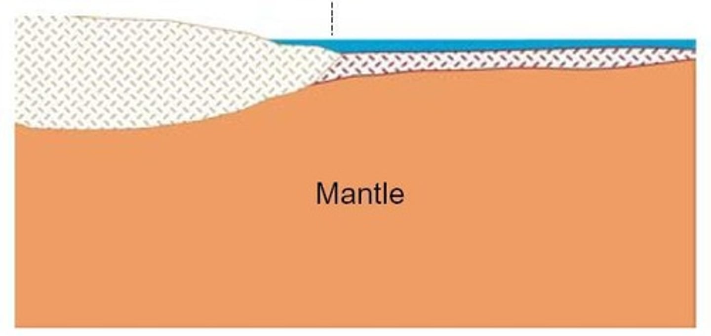 <p>Thin outer layer of Earth's surface.</p>