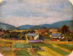 term image