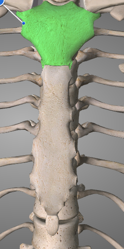 <p>rintalastan kahva</p>