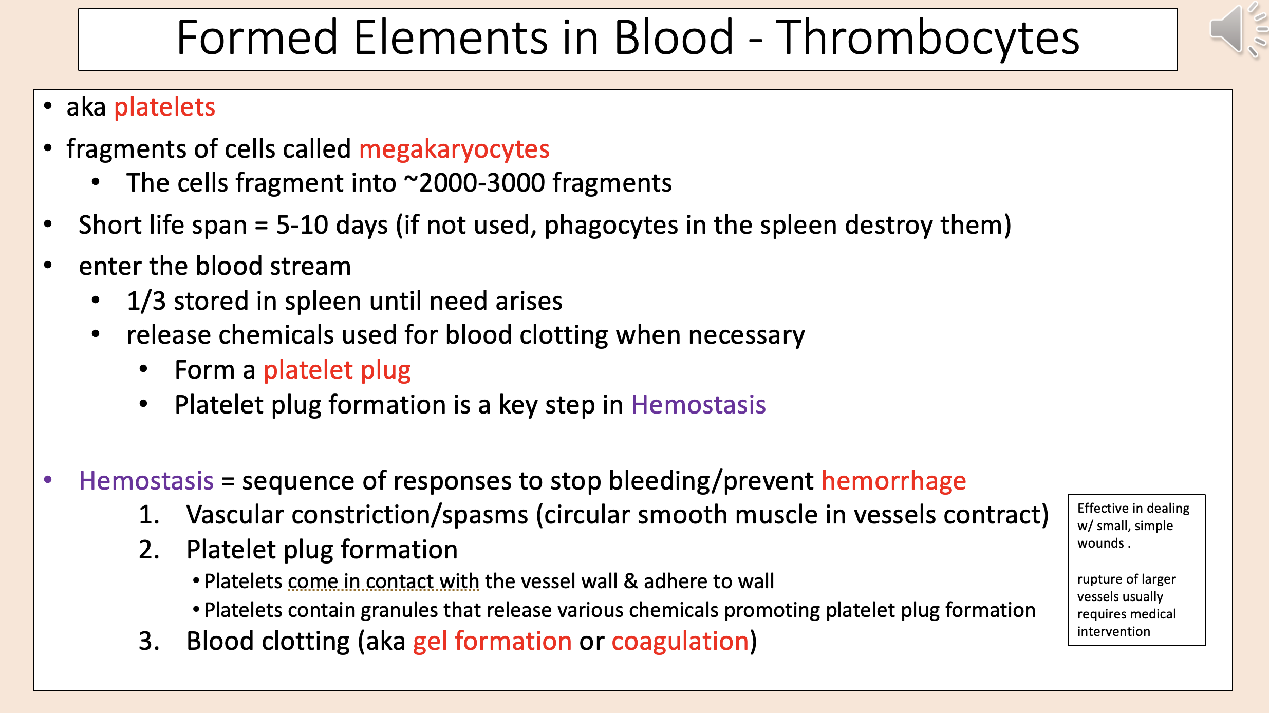<p>thrombocytes</p>