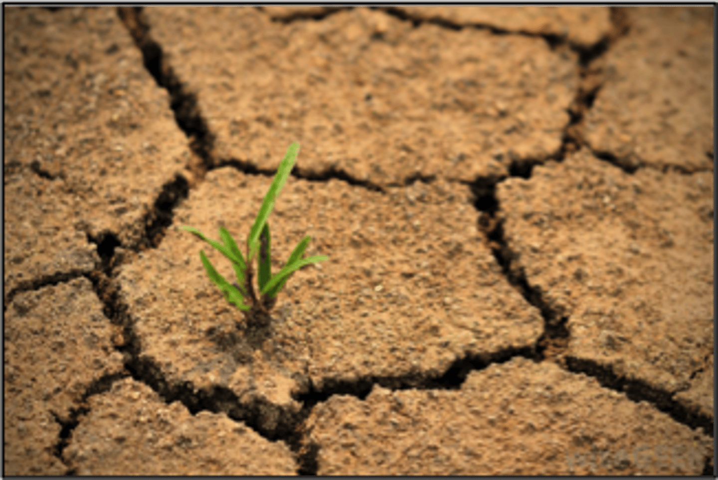 <p>severe soil degradation causing the spread of desert into formally arable lands; caused by global warming</p>