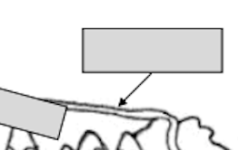 <p>What is the name of this?</p>