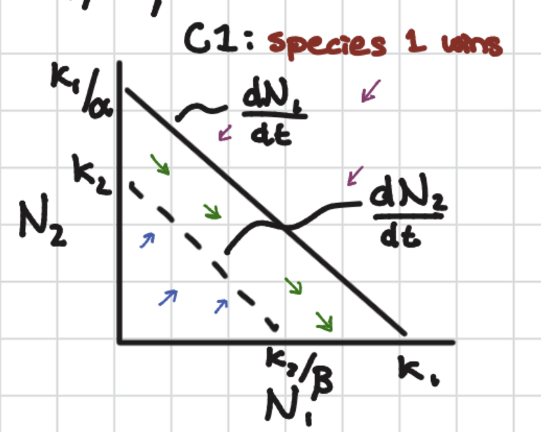 <p>Species 1 wins</p>