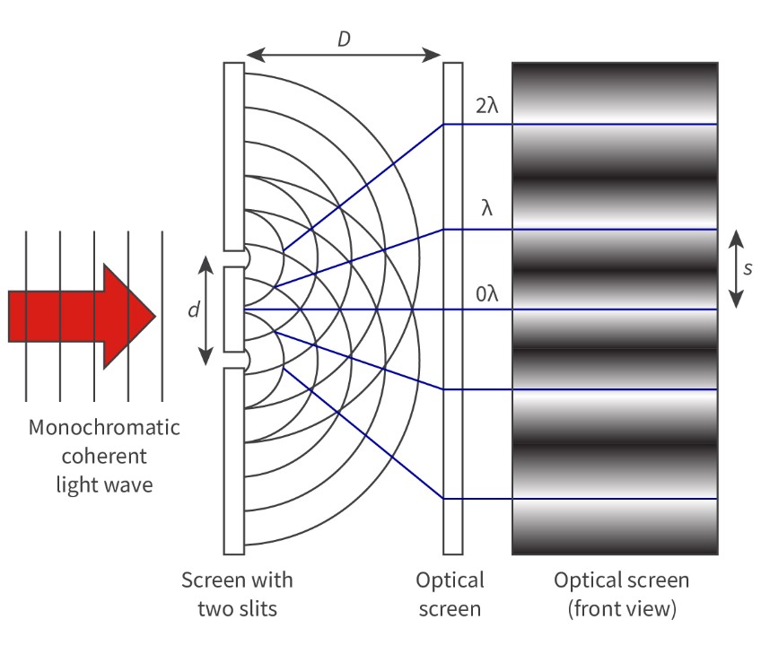 <p>Young’s double slit interference</p>