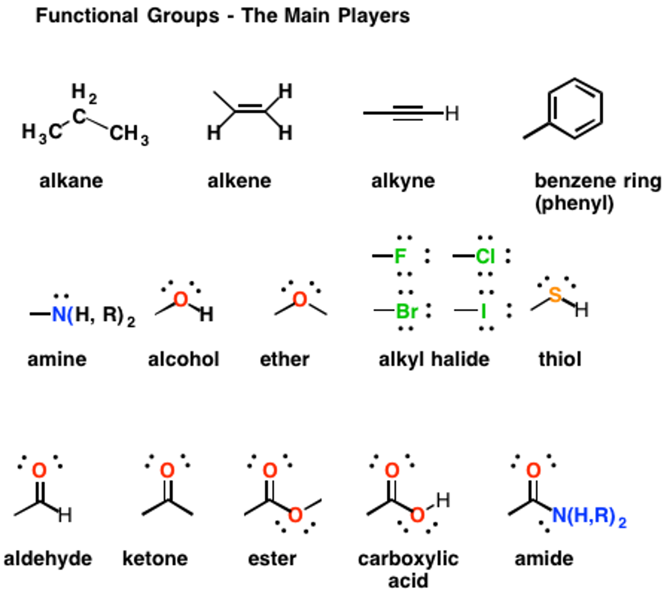 <p>(A) Thiol</p>