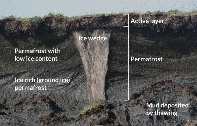 * wedge-shaped accumulation of ice in permafrost regions; formed from freeze-thaw cycles