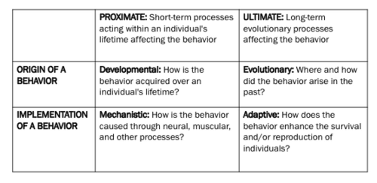 <p>– Causation: What physiological mechanisms cause the behavior?</p><p>– Development: How did the behavior develop? Here the focus is on the role of genes and the environment in shaping the development of the behavior.</p><p>– Adaptive function: How does the behavior promote the individual’s ability to survive and reproduce?</p><p>– Evolutionary history: How did the behavior evolve over time?</p>