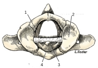 <p>2</p>