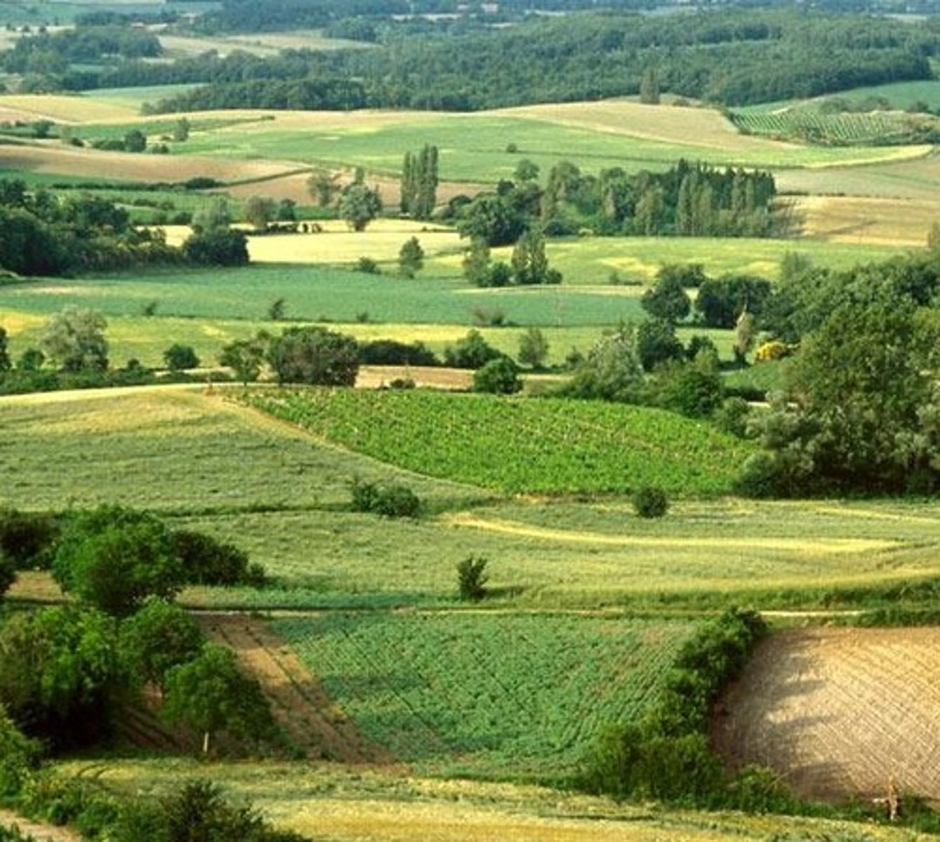 <p>the countryside</p>