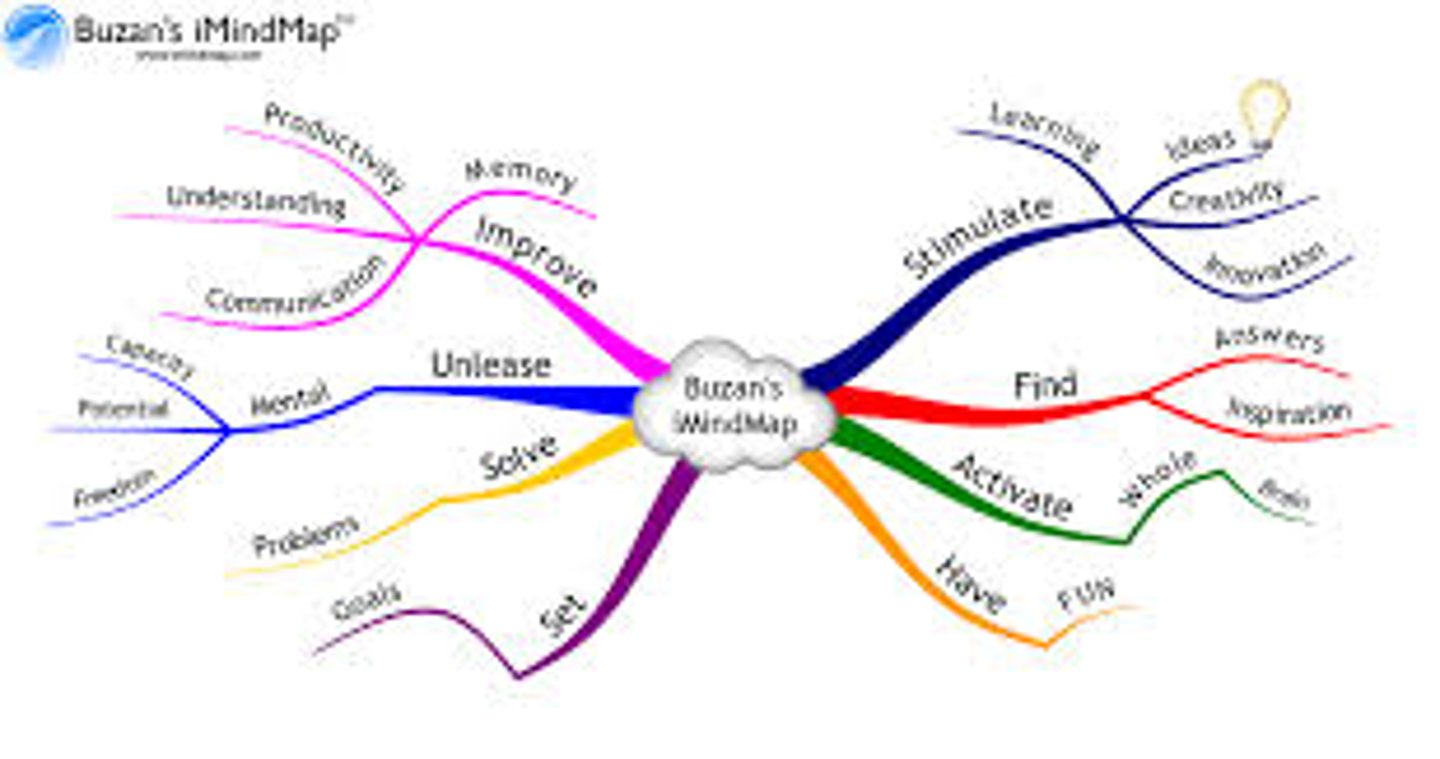 <p>diagram that lays out ideas for a topic and how they are connected to one another</p>
