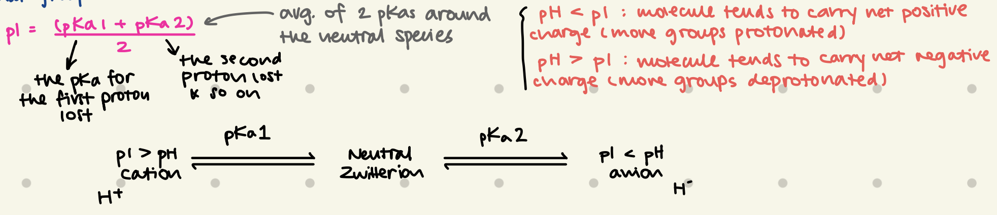 <ul><li><p><strong>Isoelectric point (pl)</strong> is the pH at which <strong>a molecule carries no net electrical charge</strong> → a <strong>zwitterion</strong> is present. (+ &amp; - charges on the molecule are balanced)</p></li><li><p>pl = (pKa1 + pKa2) / 2</p><ul><li><p> (pKa1 + pKa2) = the average of 2 pKas <strong>around the neutral species</strong></p><ul><li><p>pKa1 = pKa for 1st proton lost</p></li><li><p>pKa2 = pKa for 2nd proton lost… so on</p></li></ul></li></ul></li></ul><p></p>